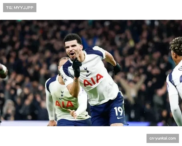 热刺索兰克髋部小毛病 有望周末对阵森林复出